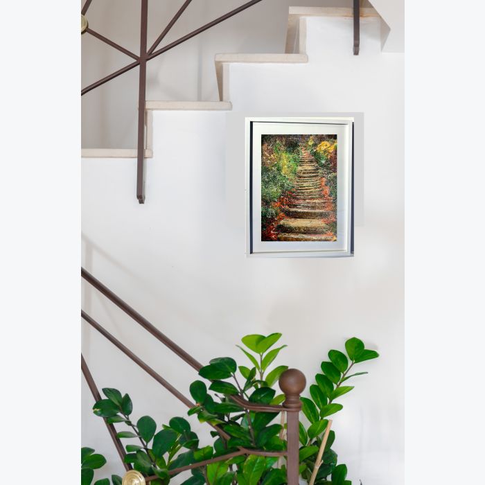 Un sous bois à Ménilmontant : tableau où s'entrecroisent peinture et photo