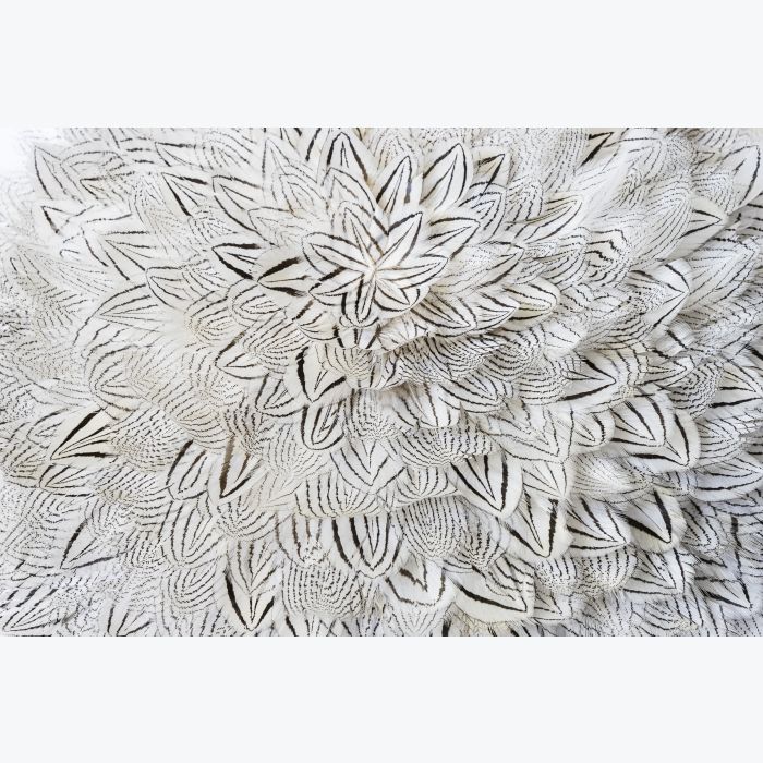 Sur un nuage, chapeau en sisal et plumes