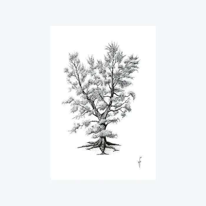Reproduction d'art d'un dessin original d'un arbre