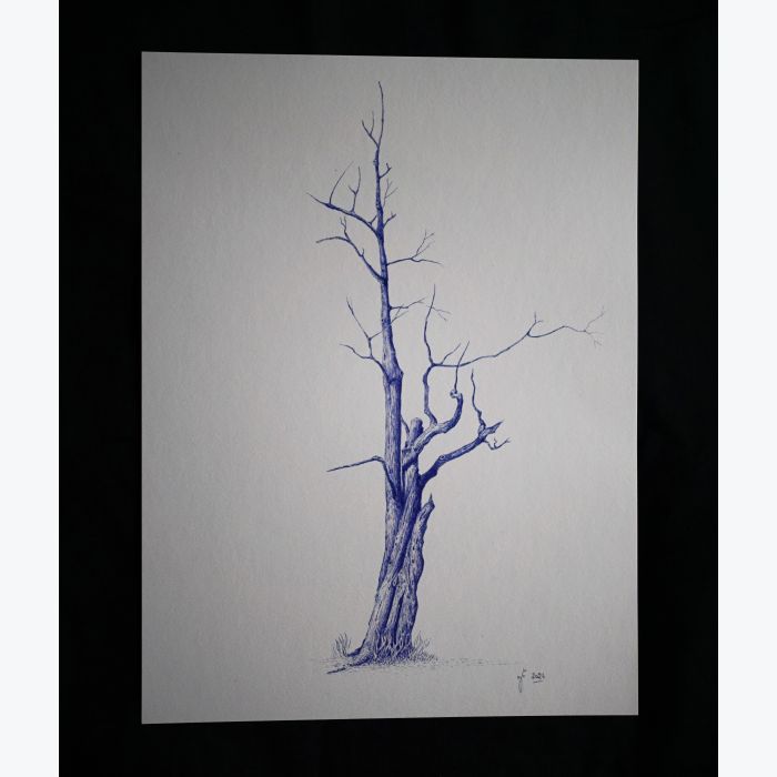 Beaume. Reproduction d'art d'un dessin original effectué au stylo à bille