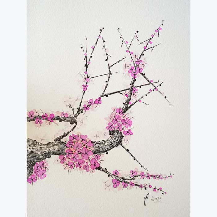 Dessin original d'une branche de cerisier japonais encre et aquarelle