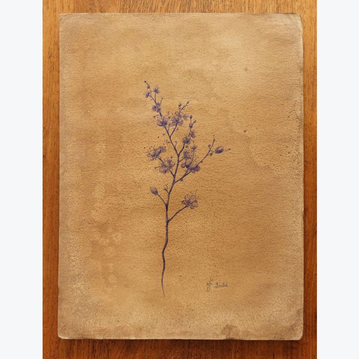 Dessin d'une branche de prunier au stylo à bille bleu sur papier vieilli