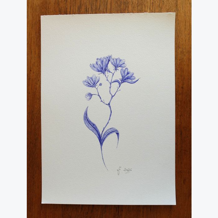 Dessin d'une fleur au stylo à bille