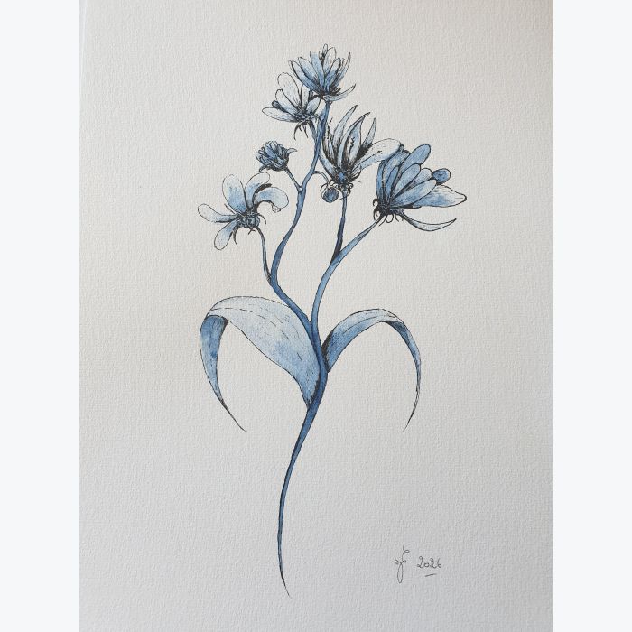 Dessin de fleur à l'encre et à l'aquarelle