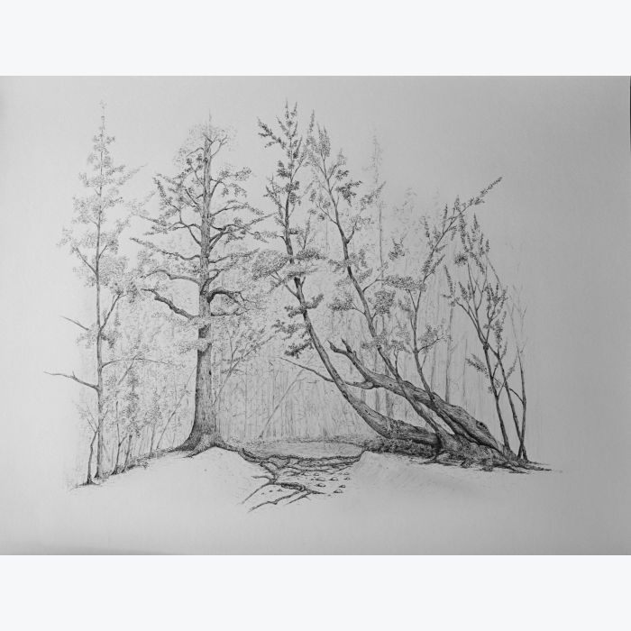 Sixt - Reproduction d'art d'un dessin original effectué au stylo à bille, imprimé en nuance de gris.