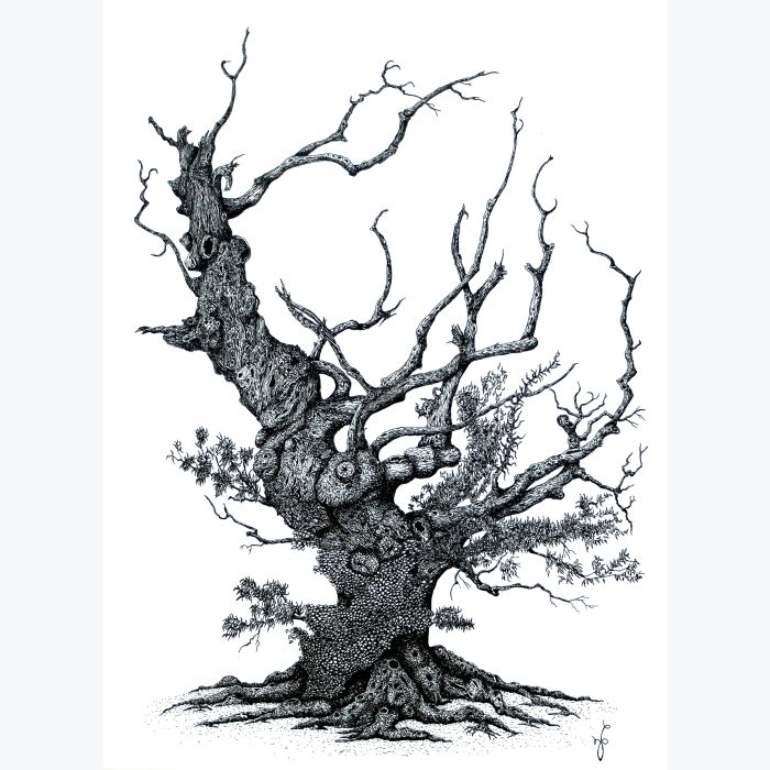 Brocéliande - Reproduction d'art d'un dessin original effectué à l'encre de Chine.