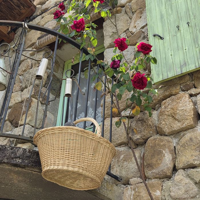 Panier crocane en osier blanc
