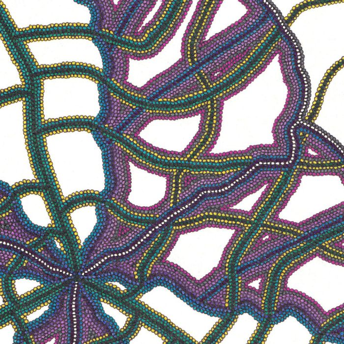 Cerveau feuille, dessin au stylo