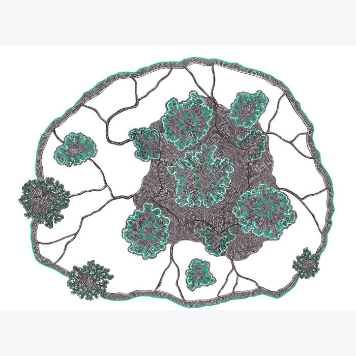 Cerveau lichen, dessin au stylo