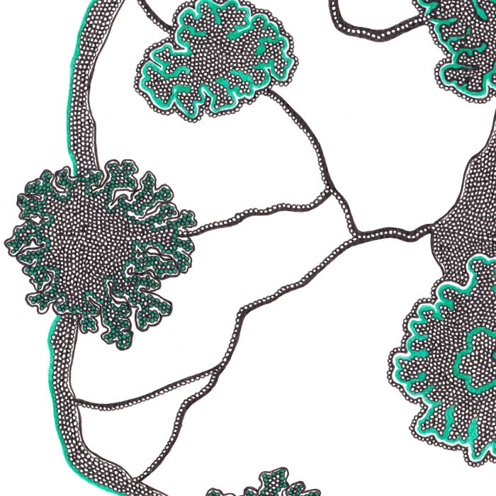 Cerveau lichen, dessin au stylo