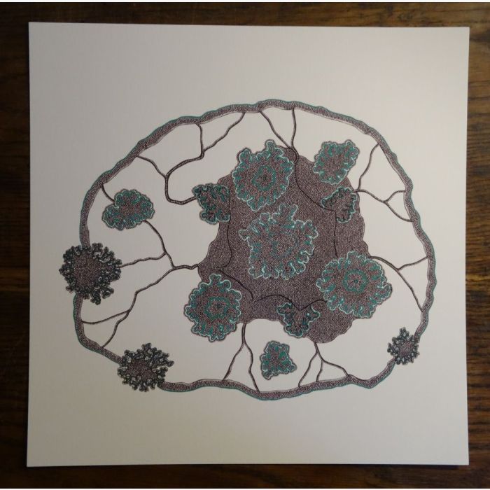 Cerveau lichen, dessin au stylo
