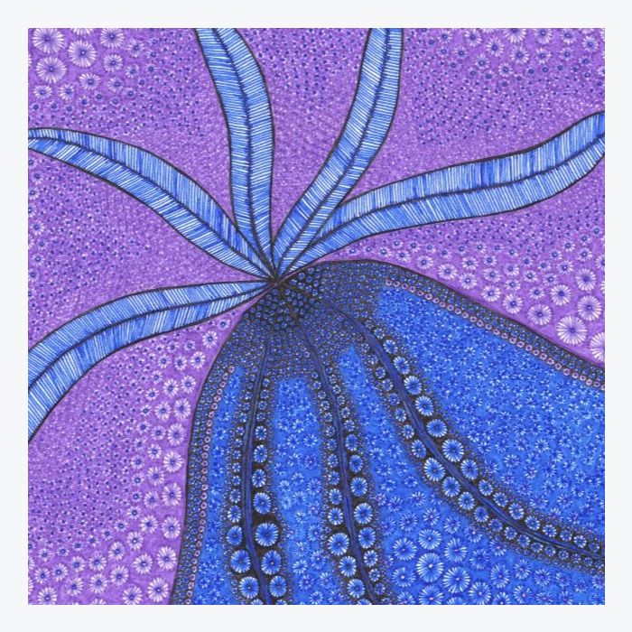 Plume, dessin au stylo