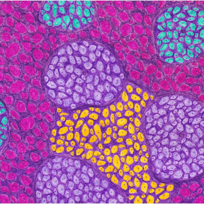 Cellules micro-couleurs, dessin au stylo