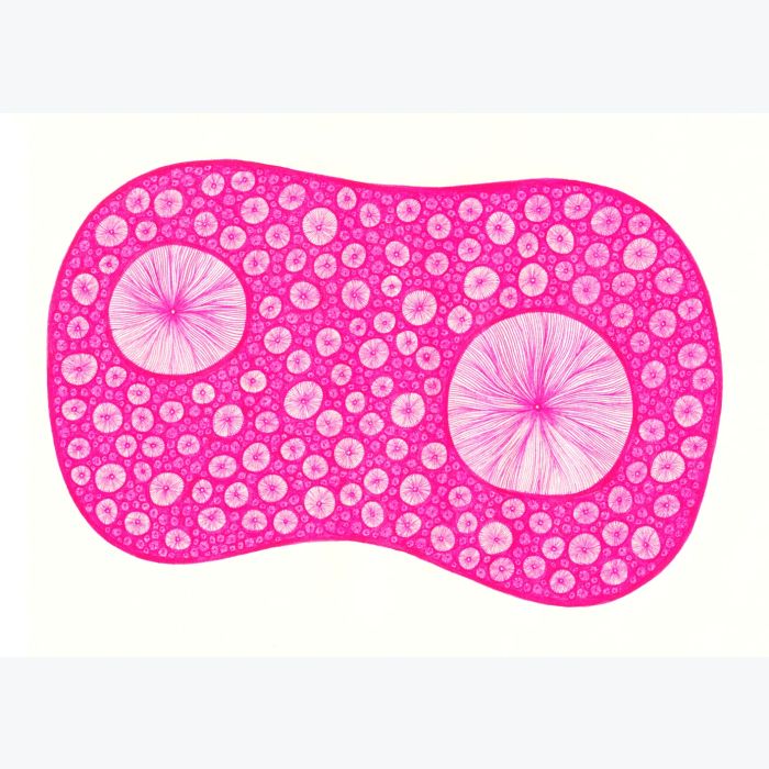 Double rose, dessin au stylo