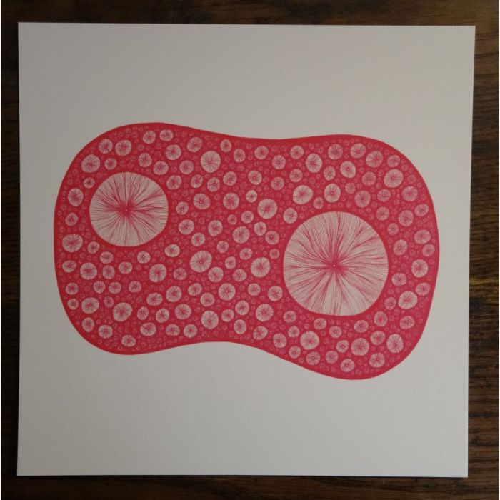 Double rose, dessin au stylo