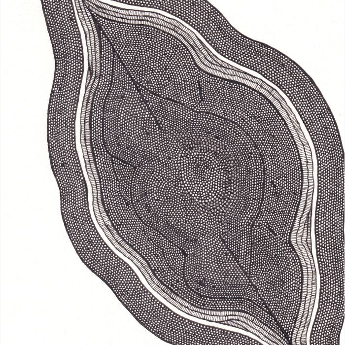 Feuille, dessin au stylo