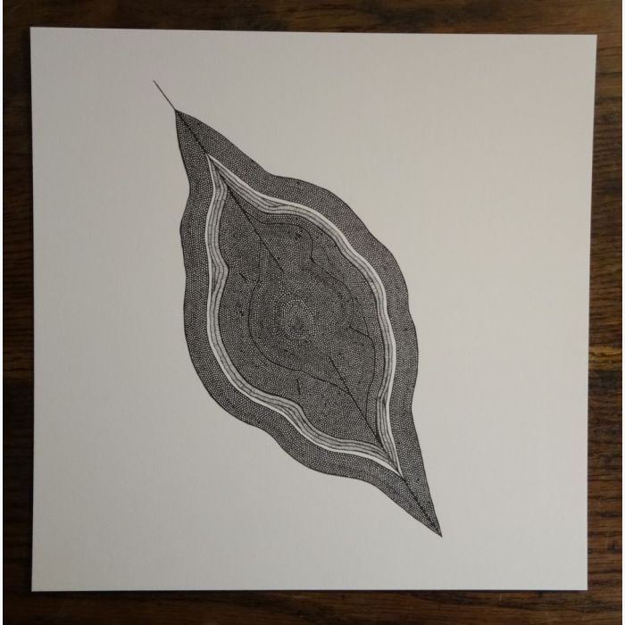 Feuille, dessin au stylo