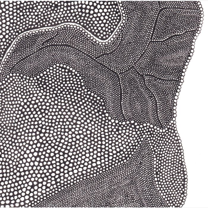 Paysage, dessin au stylo