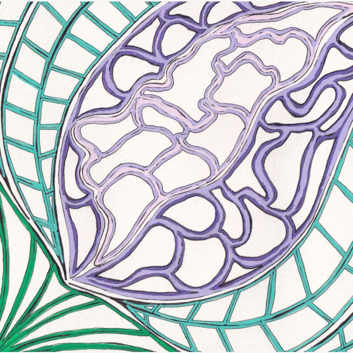 Reflets, dessin au stylo