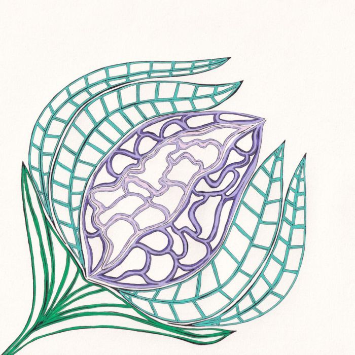 Reflets, dessin au stylo