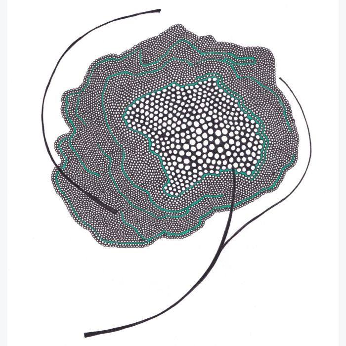 Fleur, dessin au stylo