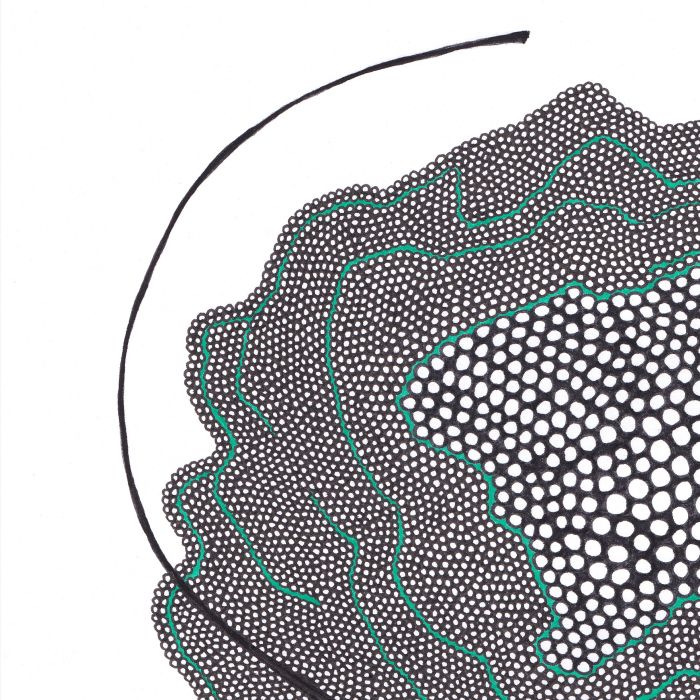 Fleur, dessin au stylo