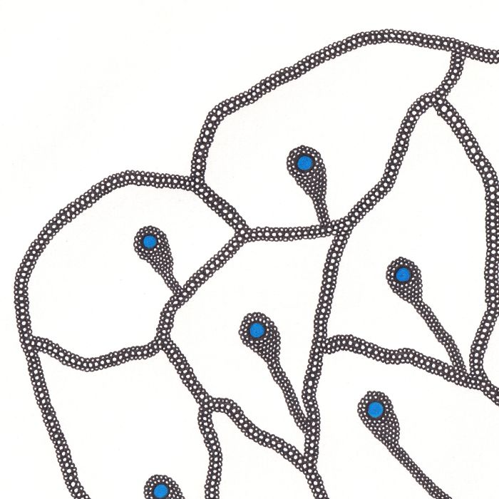 Fleur paon, dessin au stylo