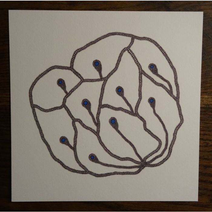 Fleur paon, dessin au stylo