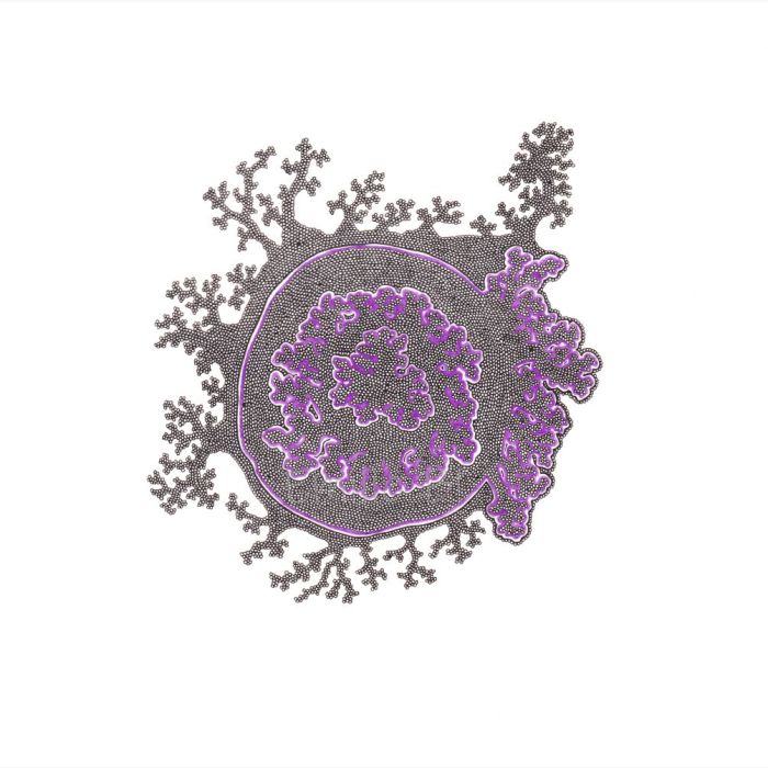 Lichen violet, dessin au stylo