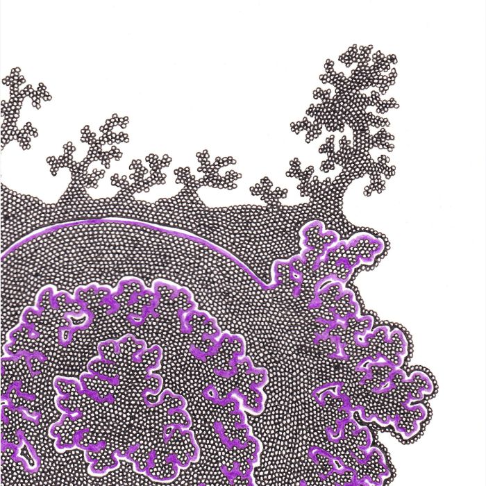 Lichen violet, dessin au stylo