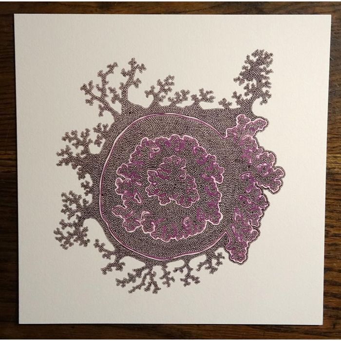 Lichen violet, dessin au stylo