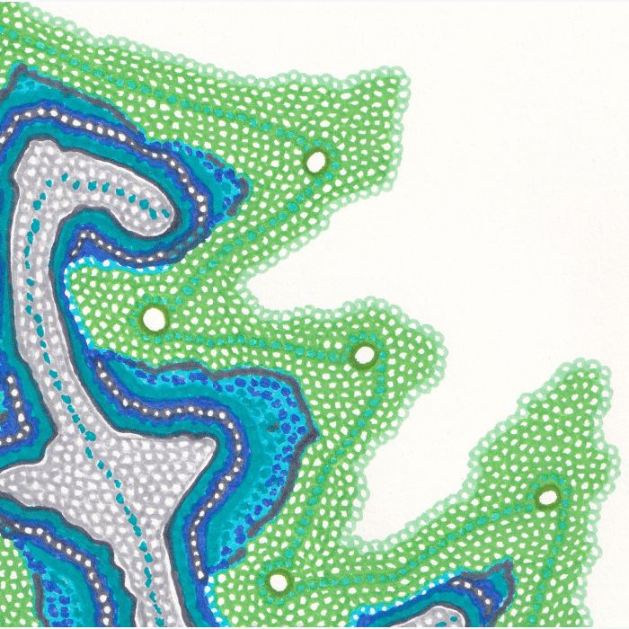 Requin Lézard, dessin au stylo