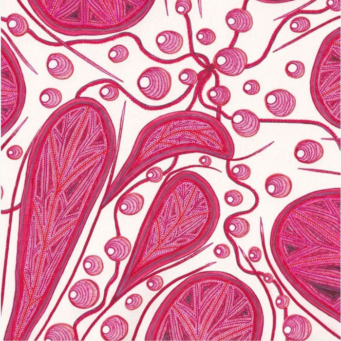 Pluie rouge, dessin au stylo