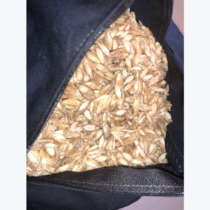 Zafu Mexicano, créativité et Bonne humeur