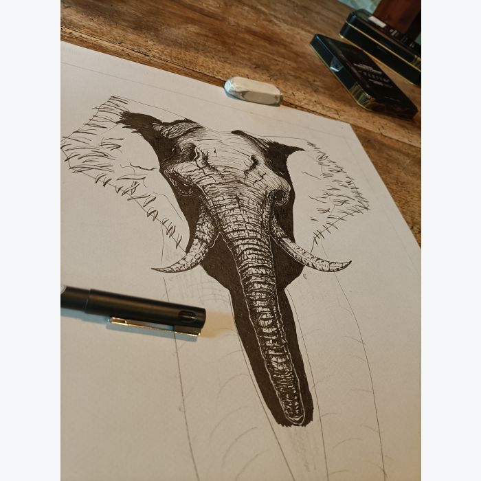 Illustration éléphant dark