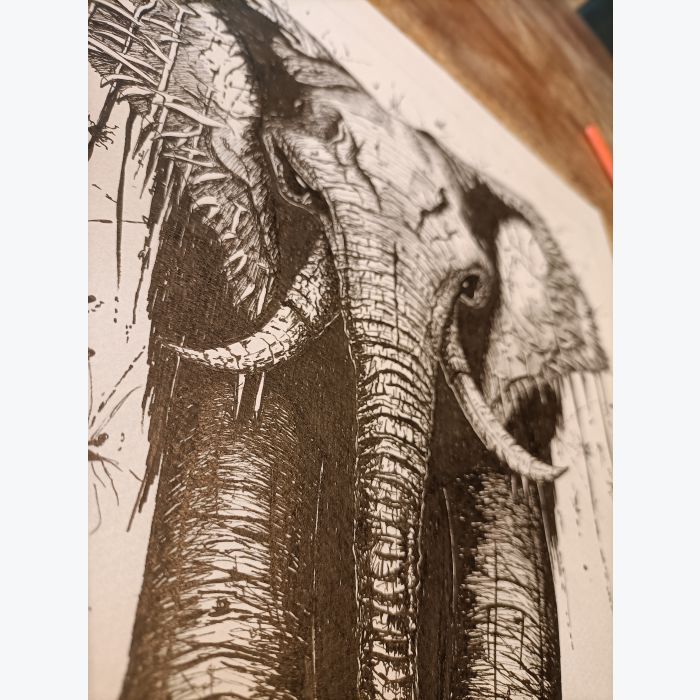 Illustration éléphant dark