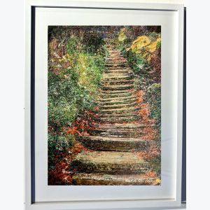 Un sous bois à Ménilmontant : tableau où s'entrecroisent peinture et photo