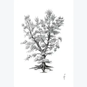 Reproduction d'art d'un dessin original d'un arbre
