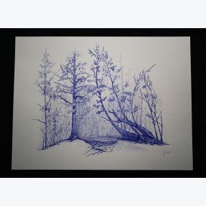 Sixt. Reproduction d'art d'un dessin original effectué au stylo à bille.