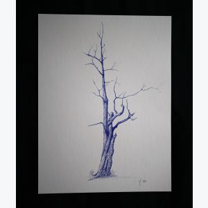 Beaume. Reproduction d'art d'un dessin original effectué au stylo à bille