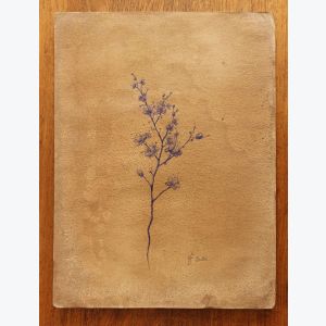 Dessin d'une branche de prunier au stylo à bille bleu sur papier vieilli