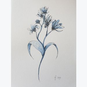 Dessin de fleur à l'encre et à l'aquarelle