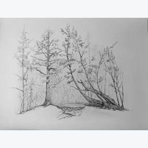 Sixt - Reproduction d'art d'un dessin original effectué au stylo à bille, imprimé en nuance de gris.