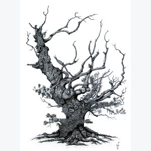 Brocéliande - Reproduction d'art d'un dessin original effectué à l'encre de Chine.