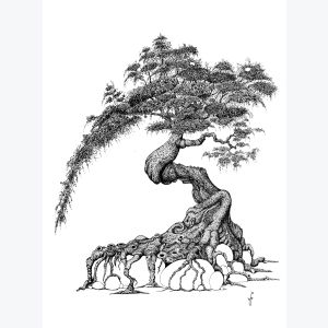 Parasol - Reproduction d'art d'un dessin original effectué à l'encre de Chine.