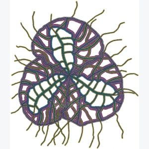 Cerveau feuille, dessin au stylo