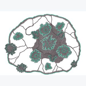 Cerveau lichen, dessin au stylo