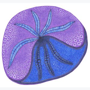 Plume, dessin au stylo