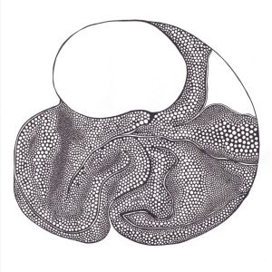 Cerveau bulles, dessin au stylo