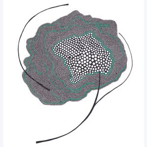 Fleur, dessin au stylo